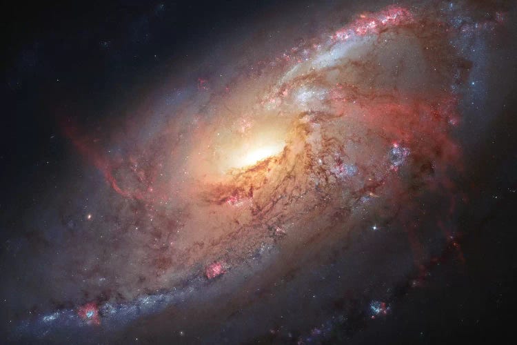 M106, Spiral Galaxy In Canes Venatici II by Robert Gendler wall art