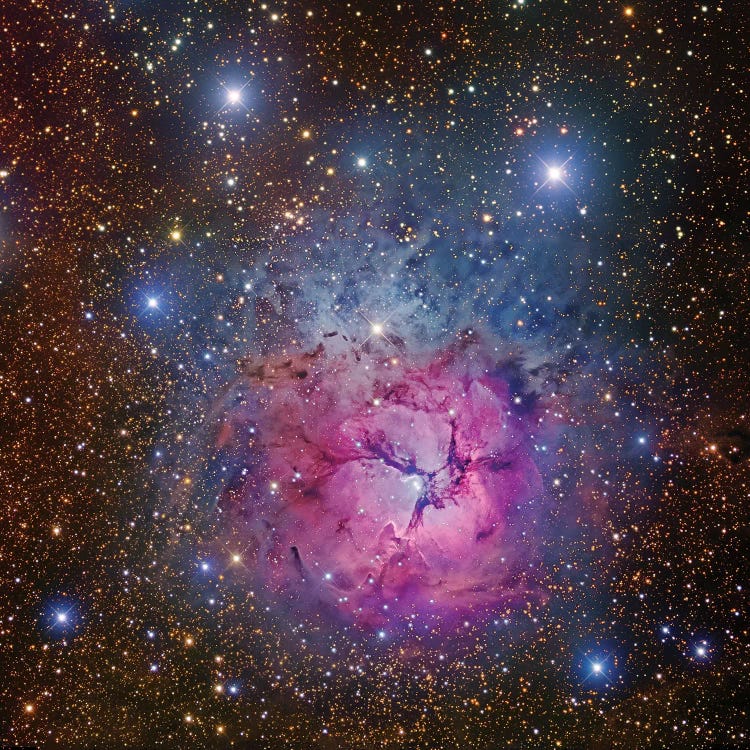 M20, Trifid Nebula I by Robert Gendler wall art