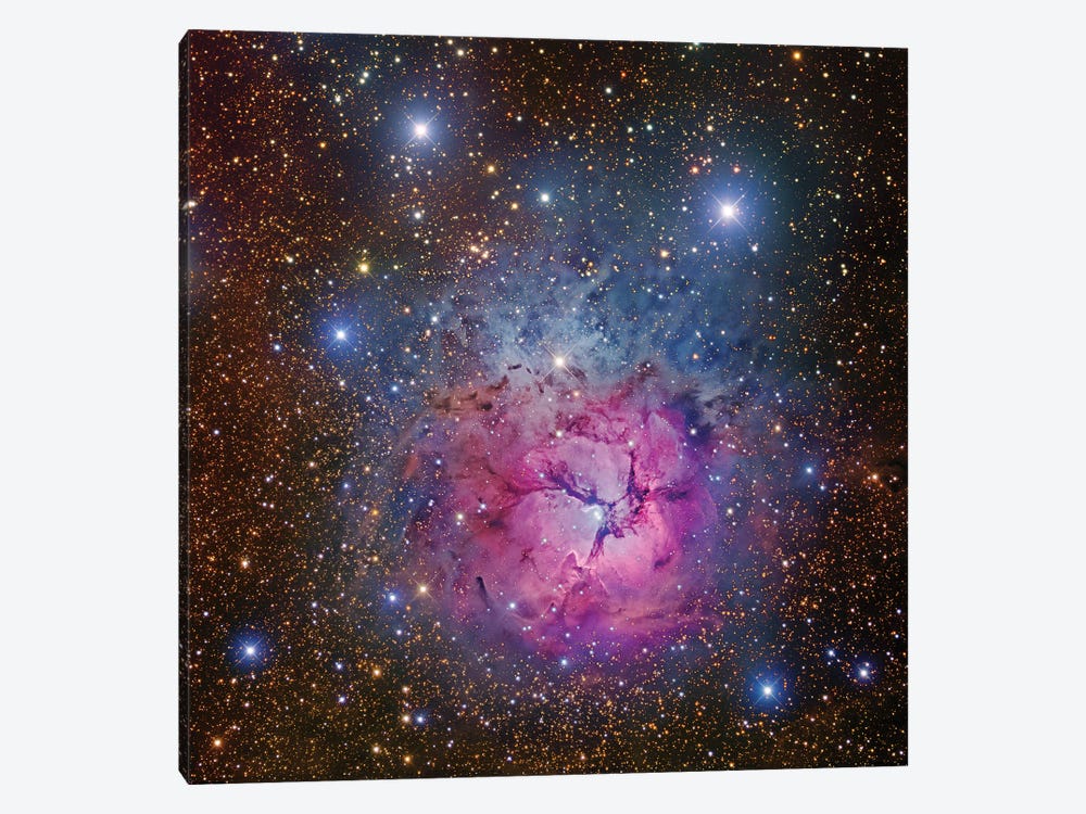 M20, Trifid Nebula I by Robert Gendler 1-piece Canvas Art Print