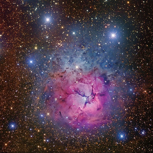 Robert Gendler: M20, Trifid Nebula I by Robert Gendler