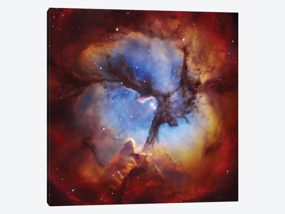 M20, Trifid Nebula II by Robert Gendler 1-piece Canvas Art