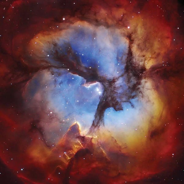 Robert Gendler: M20, Trifid Nebula II by Robert Gendler