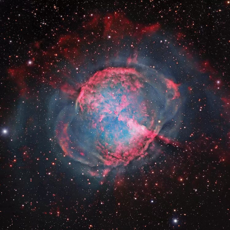 M27, The Dumbbell Nebula (NGC 6853) by Robert Gendler wall art
