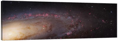M31, Andromeda Galaxy (PHAT) Mosaic II Canvas Art Print - Robert Gendler