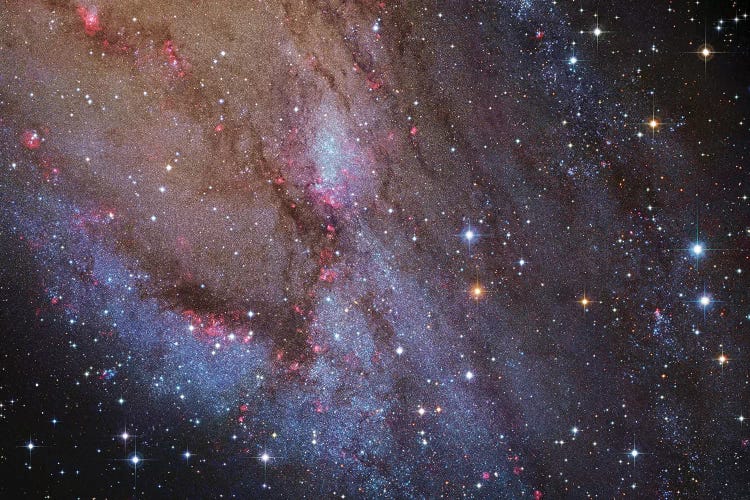 M31, Andromeda Galaxy VI by Robert Gendler wall art