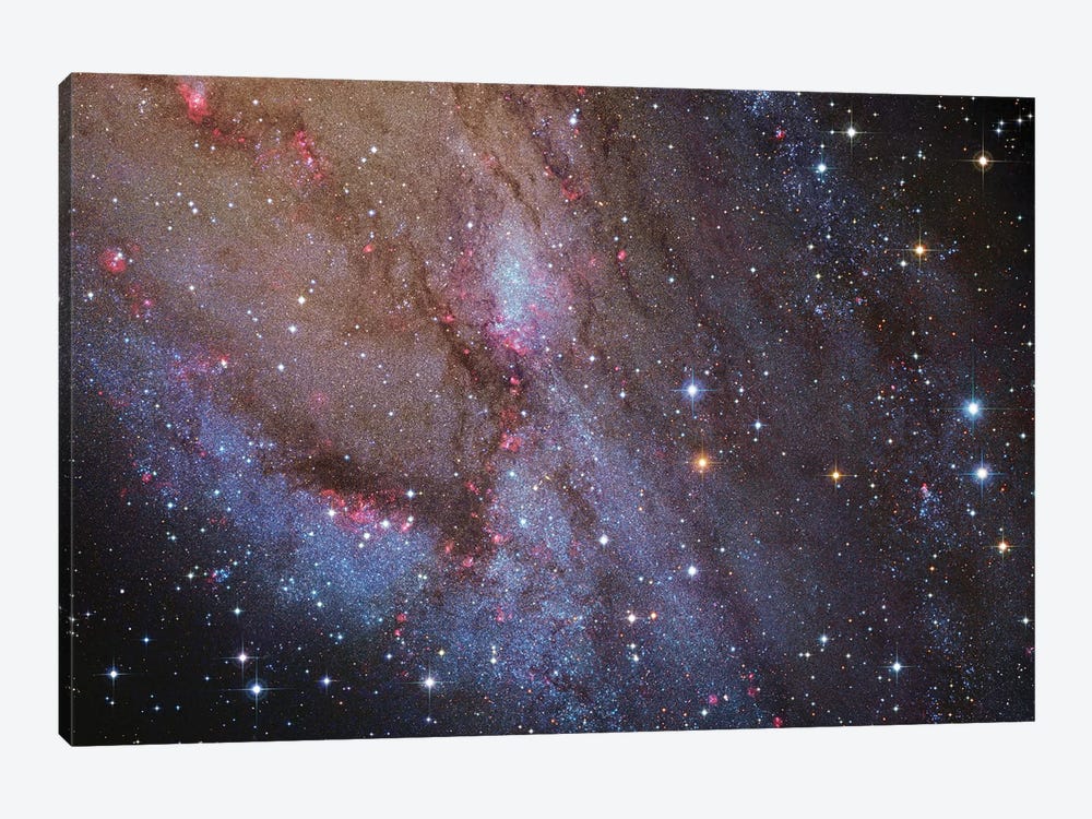 M31, Andromeda Galaxy VI by Robert Gendler 1-piece Canvas Artwork