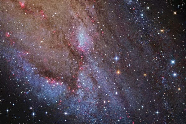 Robert Gendler: M31, Andromeda Galaxy VI by Robert Gendler