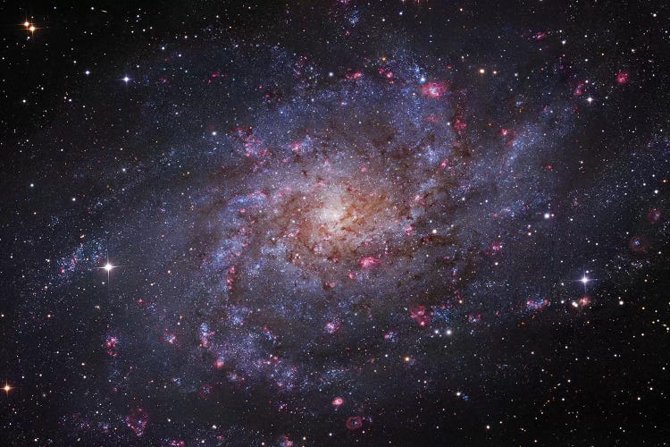 M33, The Triangulum Galaxy by Robert Gendler wall art