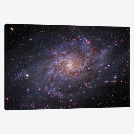 M33, The Triangulum Galaxy Canvas Print #GEN56} by Robert Gendler Canvas Print