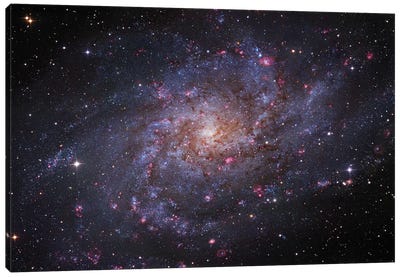 M33, The Triangulum Galaxy Canvas Art Print - Galaxy Art