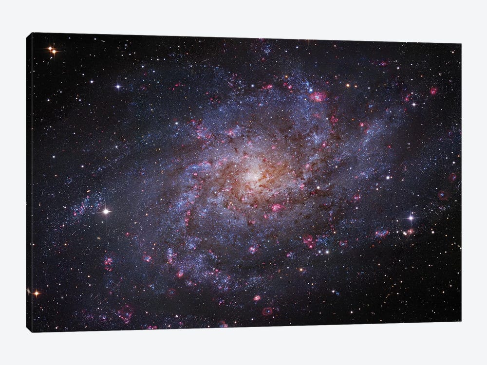 M33, The Triangulum Galaxy by Robert Gendler 1-piece Art Print