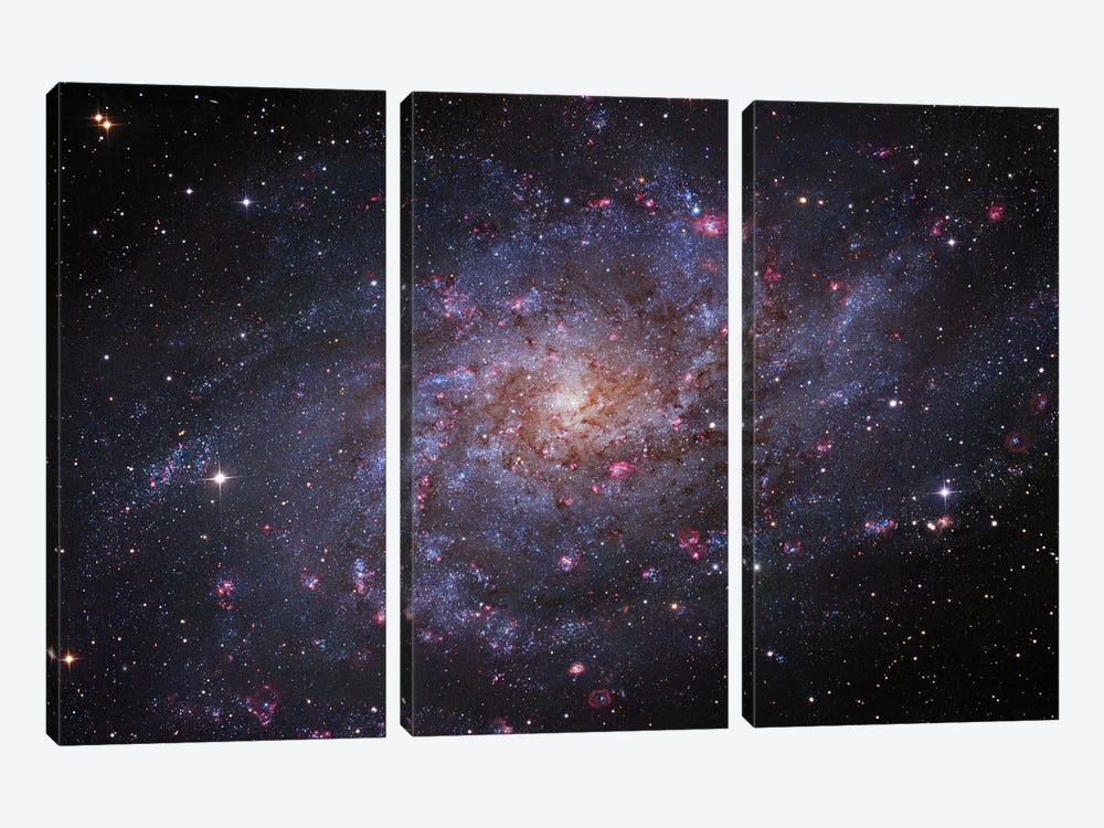M33, The Triangulum Galaxy by Robert Gendler 3-piece Art Print