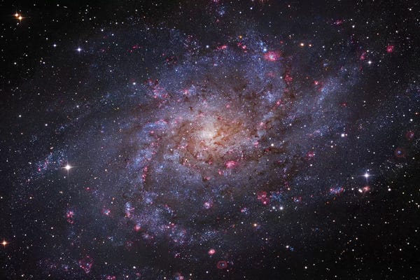 Robert Gendler: M33, The Triangulum Galaxy by Robert Gendler