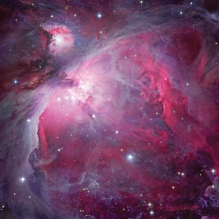 M42, The Great Nebula In Orion by Robert Gendler wall art