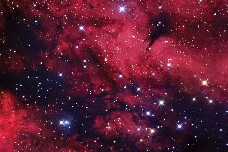 Butterfly Nebula (IC 1318) In Cygnus Mosaic by Robert Gendler wall art
