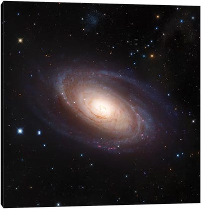 Bode's Galaxy, M81 Spiral Galaxy In Ursa Major II Canvas Art Print - Galaxy Art