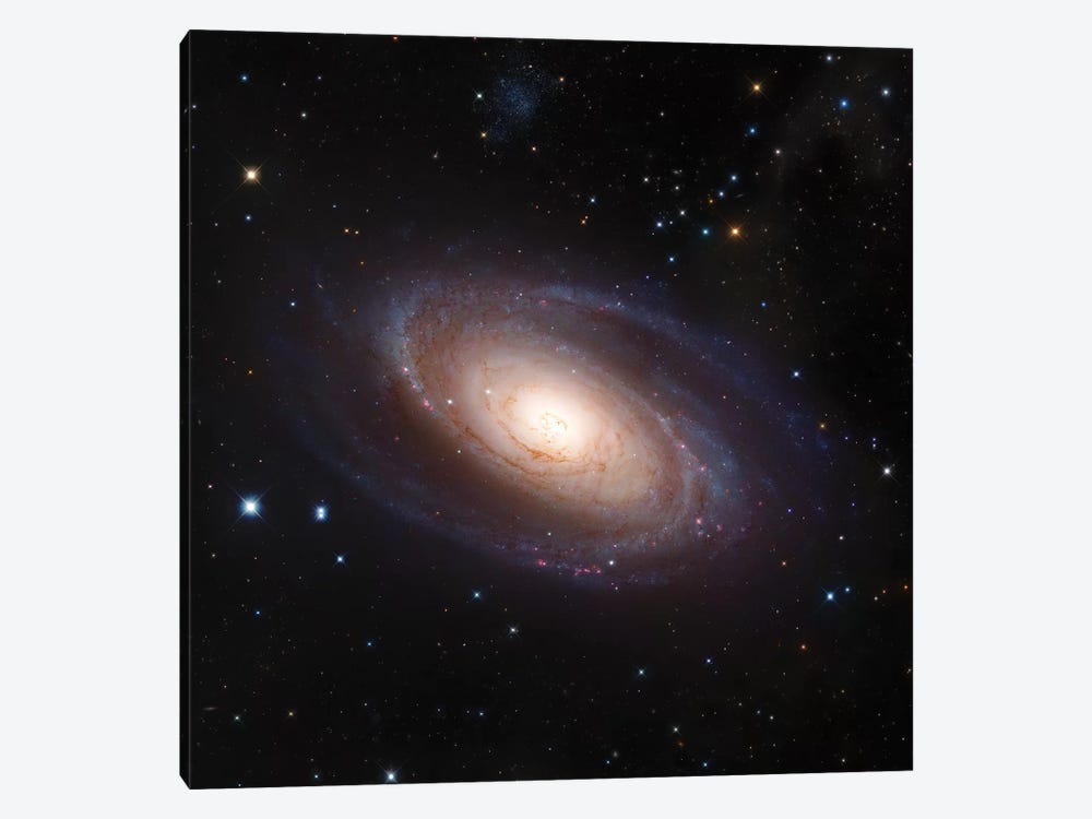 Bode's Galaxy, M81 Spiral Galaxy In Ursa Major II by Robert Gendler 1-piece Canvas Artwork