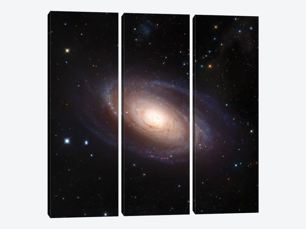 Bode's Galaxy, M81 Spiral Galaxy In Ursa Major II by Robert Gendler 3-piece Canvas Artwork