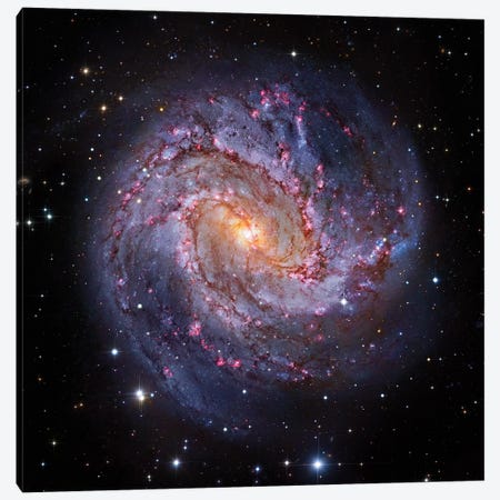 M83, Spiral Galaxy In Hydra I Canvas Print #GEN68} by Robert Gendler Canvas Print