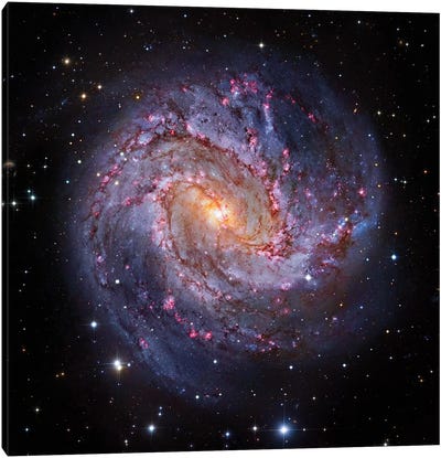 M83, Spiral Galaxy In Hydra I Canvas Art Print - Robert Gendler