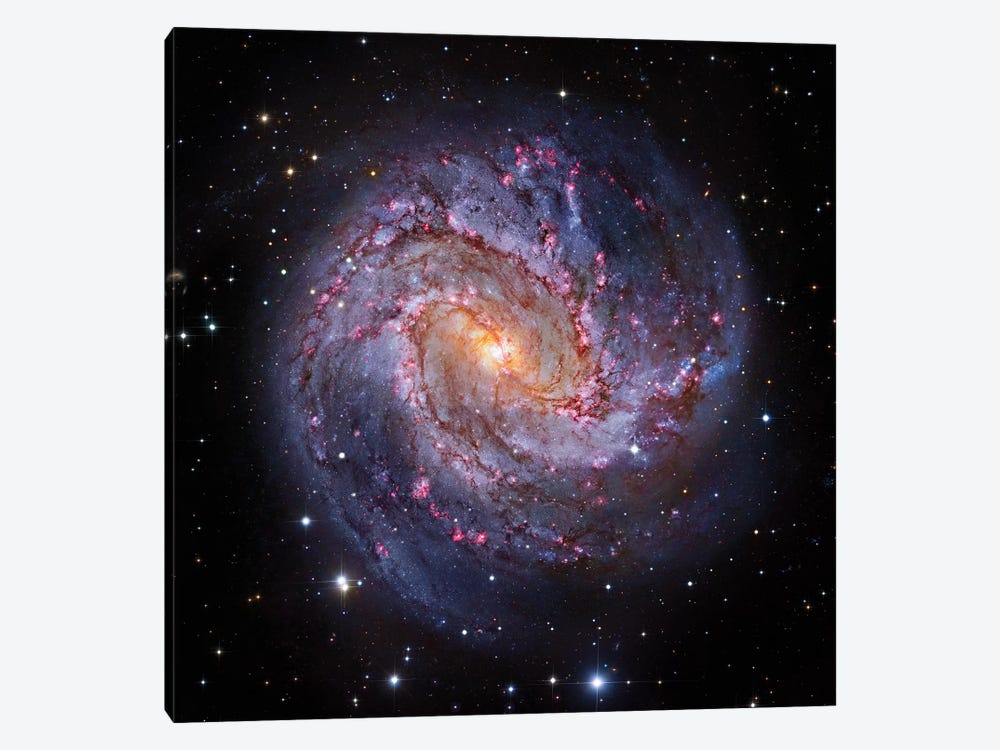 M83, Spiral Galaxy In Hydra I by Robert Gendler 1-piece Canvas Art