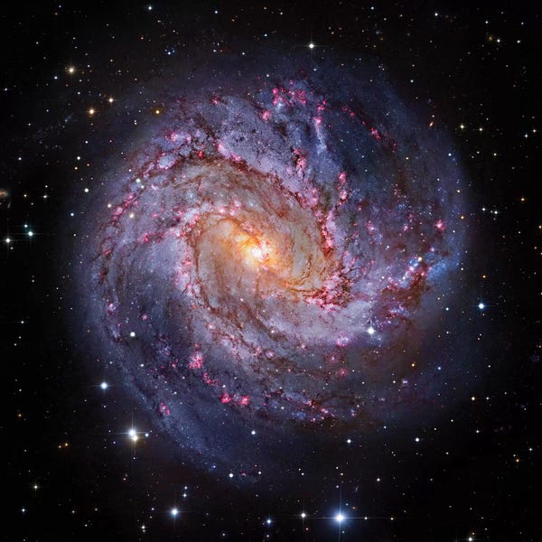Robert Gendler: M83, Spiral Galaxy In Hydra I by Robert Gendler
