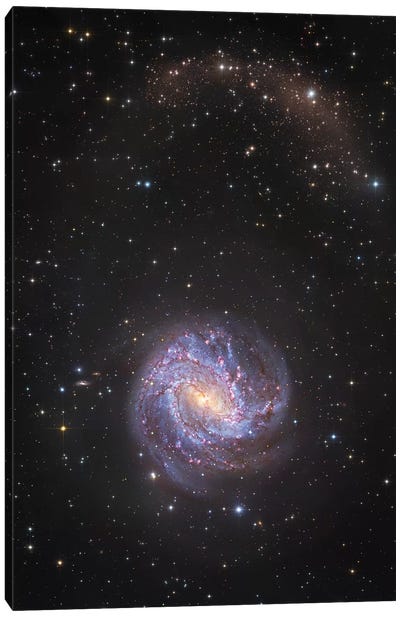 M83, Spiral Galaxy In Hydra II Canvas Art Print - Galaxy Art