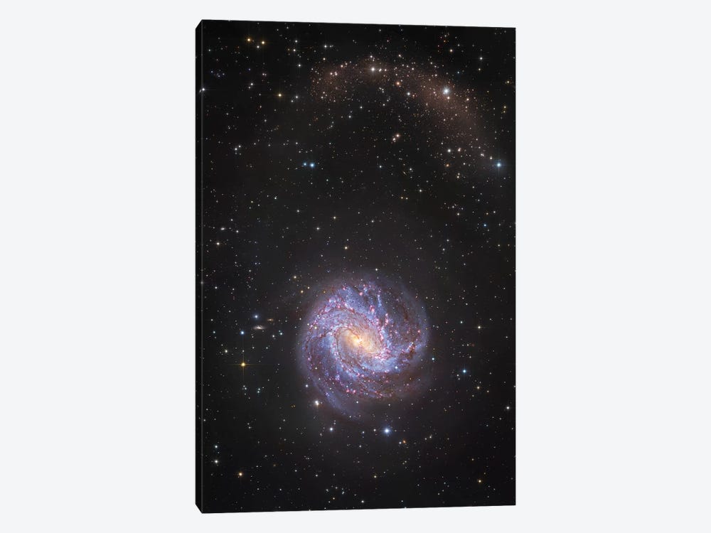 M83, Spiral Galaxy In Hydra II by Robert Gendler 1-piece Canvas Print
