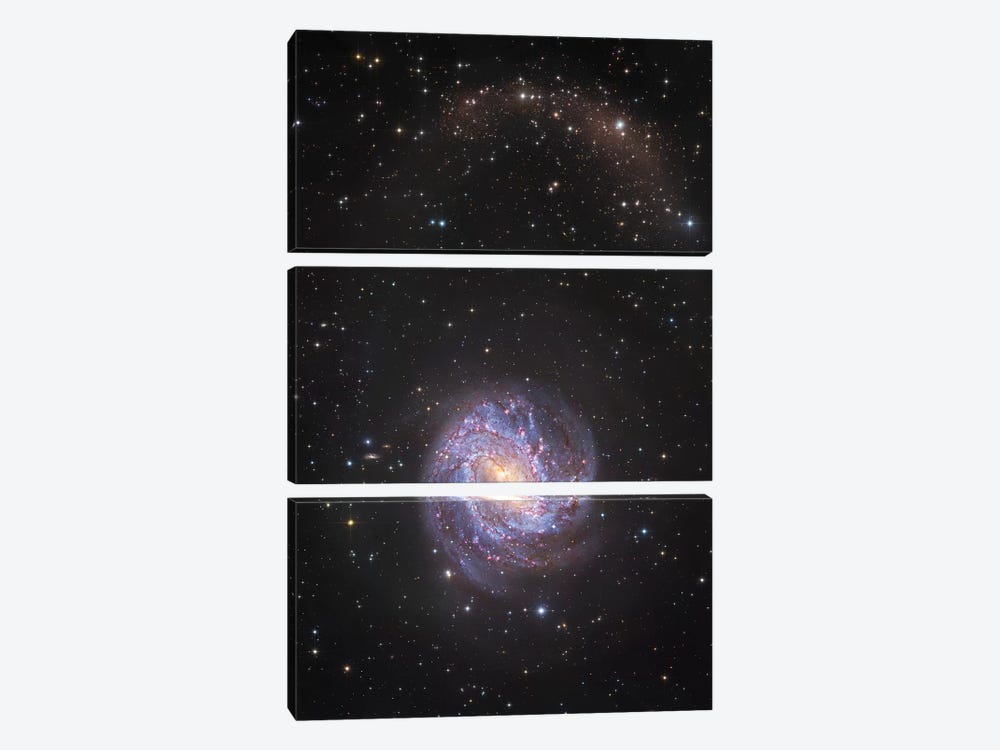 M83, Spiral Galaxy In Hydra II by Robert Gendler 3-piece Canvas Print
