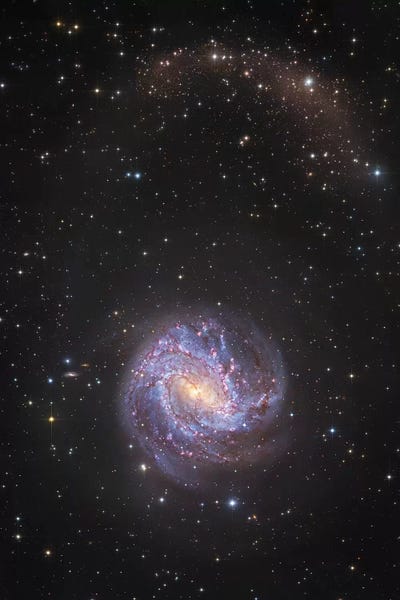 Robert Gendler: M83, Spiral Galaxy In Hydra II by Robert Gendler