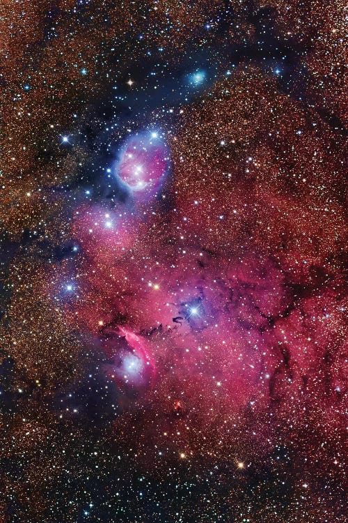 Nebula In Sagittarius (NGC 6559)