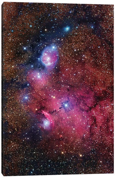 Nebula In Sagittarius (NGC 6559) Canvas Art Print - Astrology Art