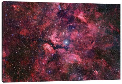 Nebulosity Surrounding Gamma Cygni Canvas Art Print - Nebula Art