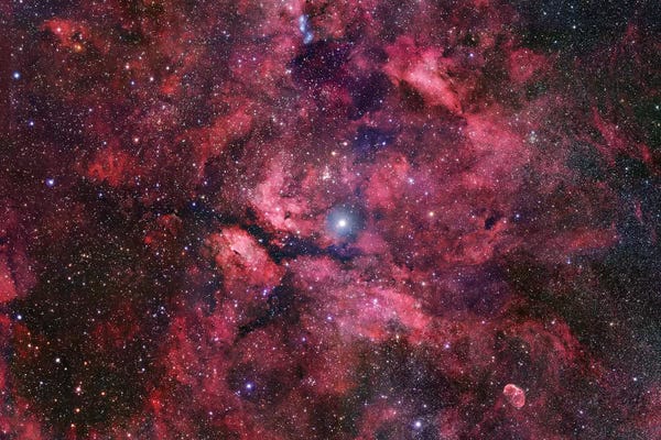 Robert Gendler: Nebulosity Surrounding Gamma Cygni by Robert Gendler
