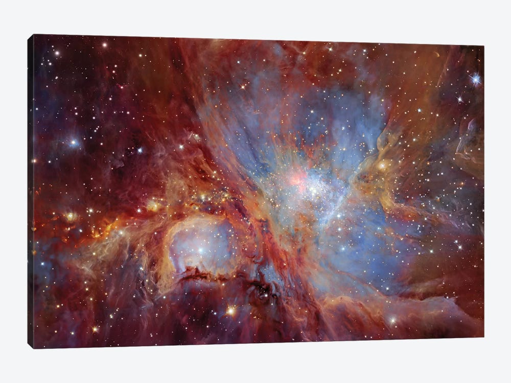 Orion Nebula  by Robert Gendler 1-piece Canvas Art Print