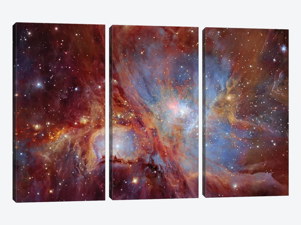 Orion Nebula  by Robert Gendler 3-piece Canvas Print