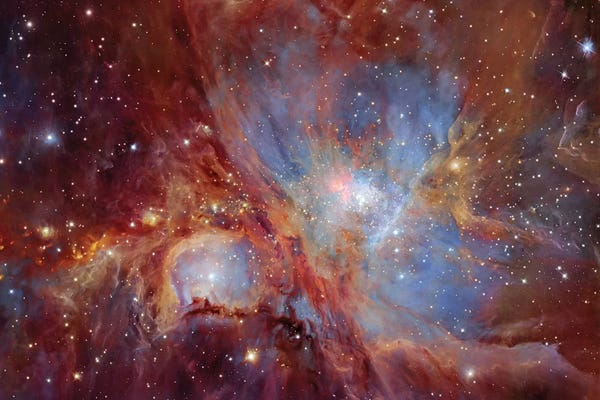 Robert Gendler: Orion Nebula  by Robert Gendler
