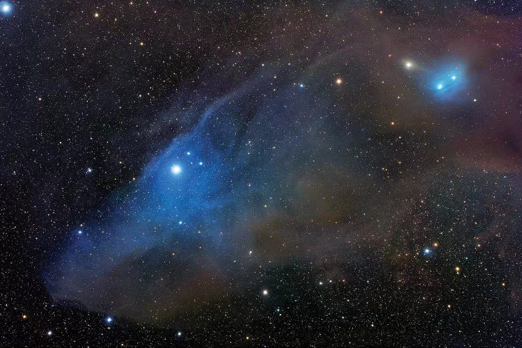 Reflection Complex In Scorpius (IC 4592) II by Robert Gendler wall art