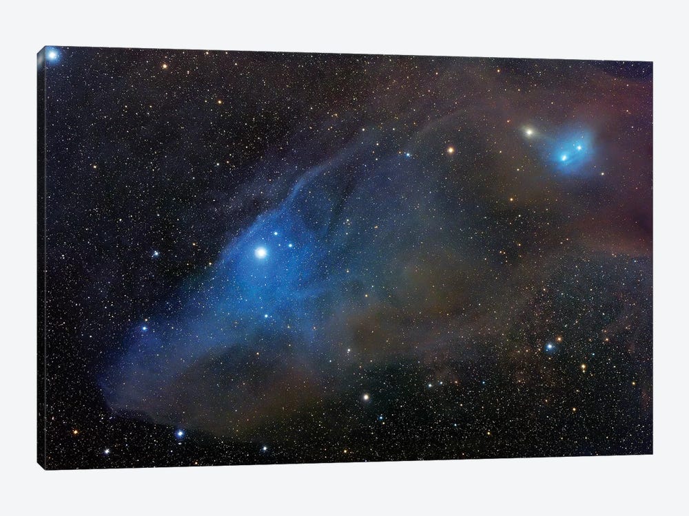 Reflection Complex In Scorpius (IC 4592) II by Robert Gendler 1-piece Canvas Wall Art