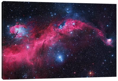 Seagull Nebula (IC 2177) I Canvas Art Print - Nebula Art
