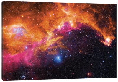 Seagull Nebula (IC 2177) II Canvas Art Print - Nebula Art