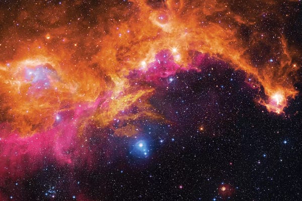 Robert Gendler: Seagull Nebula (IC 2177) II by Robert Gendler