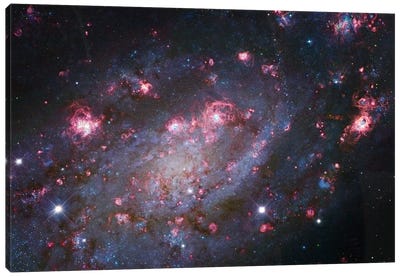 Spiral Galaxy In Camelopardalis (NGC 2403) I Canvas Art Print - Galaxy Art