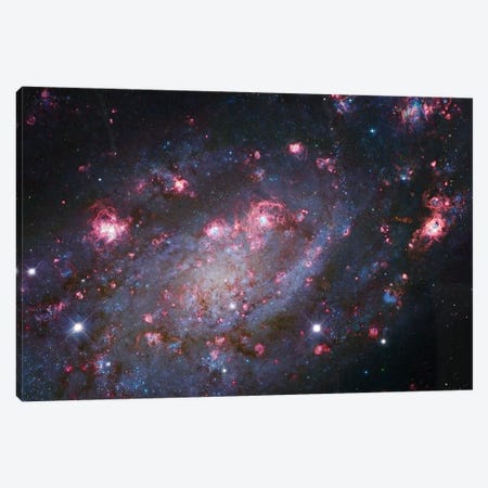 Spiral Galaxy In Camelopardalis (NGC 2403) I Canvas Print #GEN85} by Robert Gendler Canvas Artwork