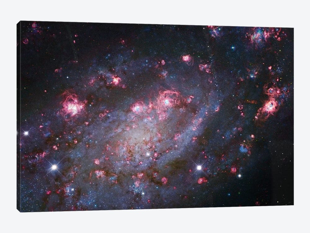 Spiral Galaxy In Camelopardalis (NGC 2403) I by Robert Gendler 1-piece Canvas Art Print