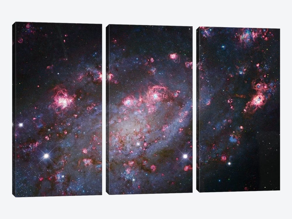 Spiral Galaxy In Camelopardalis (NGC 2403) I by Robert Gendler 3-piece Canvas Art Print