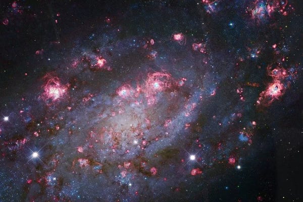 Robert Gendler: Spiral Galaxy In Camelopardalis (NGC 2403) I by Robert Gendler