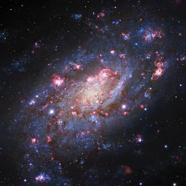 Spiral Galaxy In Camelopardalis (NGC 2403) II