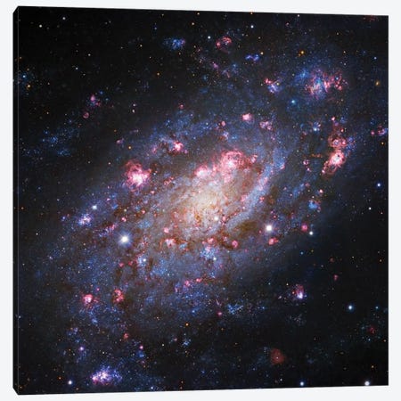 Spiral Galaxy In Camelopardalis (NGC 2403) II Canvas Print #GEN86} by Robert Gendler Canvas Wall Art