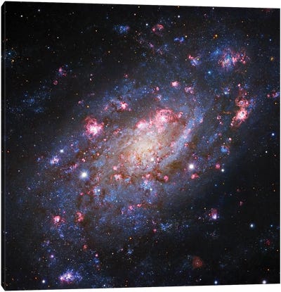Spiral Galaxy In Camelopardalis (NGC 2403) II Canvas Art Print